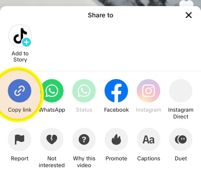 Tiktok to mp3 copy the link