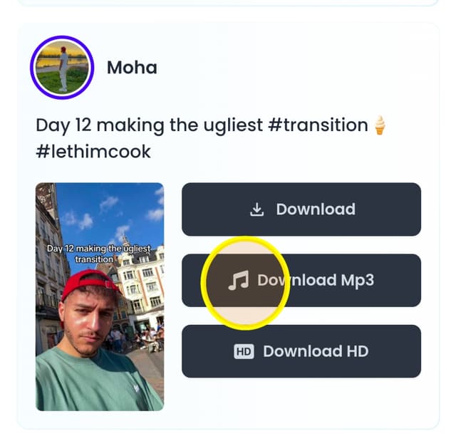 Tiktok to mp3 Click share